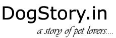 DogStory
