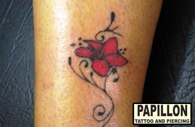 papillon tattoo supply
