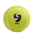 SG Endura Cricket Balls (Pack Of 5)