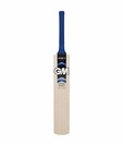 GM Octane 303 English Willow Cricket Bat