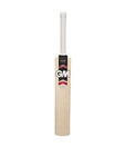 GM Flare Maestro Kashmir Willow Cricket Bat