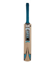 GM Apex Contender Kashmir Willow Cricket Bat