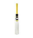 GM Halo Sting  Size 5 Kashmir Willow Cricket Bat