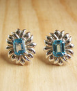 Designer Silver Inc. Silver & Blue Topaz Earrings