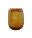 Plumeria  Light Golden Colour Resin Tumbler