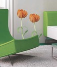 Plage Hearts of Tulips Wall Sticker