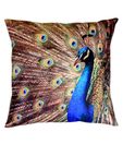 meSleep Peacock Digital Print Cushion Covers