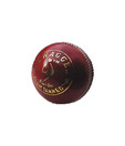 SM Swagger Cricket Leather Ball