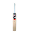 GM Flare 202 Kashmir Willow Cricket Bat