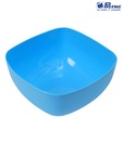 Picnic Square Salad Bowl