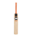 GM Epic Contender Kashmir Willow Cricket Bat