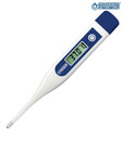 Bremed Digital Thermometer