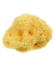 Beauty Time Cosmetic Sea Sponge 0.003 kg
