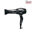 Roots Professional Champion 2K  Hair Dryer CD2K