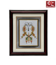 Craft N Craft Terrific Panting