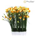 Flowers Boutique Contemporary Garden Pansy With A Vase