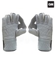 GM 606 Cricket Wicket Keeping Gloves