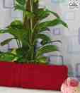 Gran Maroon Bath Towel
