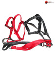Body Set-Leash+Harness (Plain) - 0.75Inch - Dog Leash and Harness