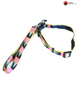 Collar Set- Leash+Collar 0.75Inch (Fancy) - Dog Collar