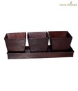 Home Orchard Dark Brown Planter Set With Tray