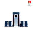 Iball Swar 5.1 Speakers