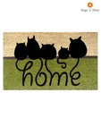 Rugs 