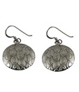 Aiva Stylish Sterling Silver Earrings
