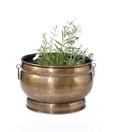 Live n Style Small Brass Finish Planter With Rings