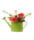 Live n Style Water Can Flower Vase