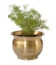 Live n Style Designer Round Brass Finish Planter