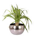 Live n Style Nickel Finish Medium Iron Planter