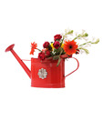 Live n Style Striking Red Water Can