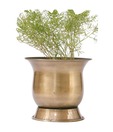 Live n Style Brass Finish Iron Planter (Large)