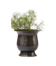 Live n Style Iron Planter-(Small)