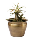Live n Style Brass Finish Iron Planter