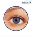Freshlook Colour Blends (2 Lens Pack) Blue