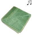 Fleecy Yarn-dyed Jacquard Towel- Green