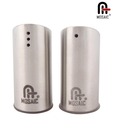 Mosaic Stainless Steel Salt & Pepper Shaker Set