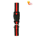 Phoenix Overseas Red Striped Dog Collar
