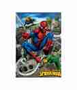 Spider-Man (18.7 x 26.8 Inches)