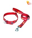 Smarty Adjustable Red Collar & Lead