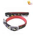 Scoobee Classy Black  Bone Design Lead & Collar