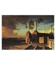 Pink Floyd (Animals) (24 x 36 Inches)