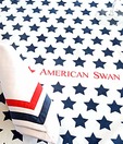 American Swan Spring Stripe Napkin- Set of 2