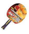 GKI Offensive XX Table Tennis Racket (with wooden cover)