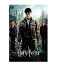 Harry Potter 7 Part 2 - One Sheet (24 x 36 Inches)
