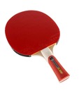 Artengo Fr 810 O Table Tennis Bats