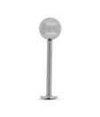 Revlis Finely Polished Surgical Steel Ball Tip Chin Stud