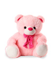 Dimpy Ready To Hug Pink Bear - 70 Cms